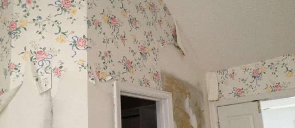 Wallpaper Fixing in Dubai - Professional Wallpaper Installation Wallpaper Fixing in Dubai - Professional Wallpaper Installation